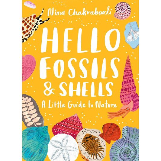 Hello Fossils and Shells: A Little Guide to Nature