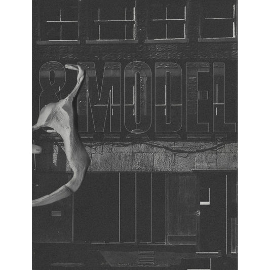 &Model
