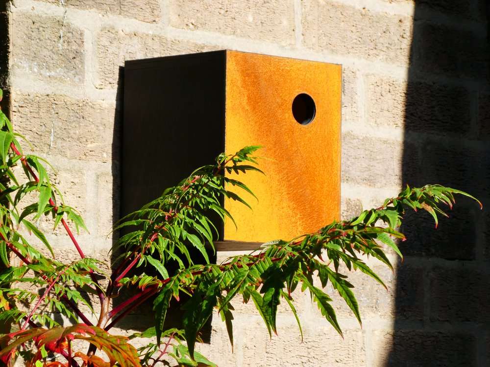 Nestbox Black