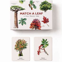 Match A Leaf Memory Game