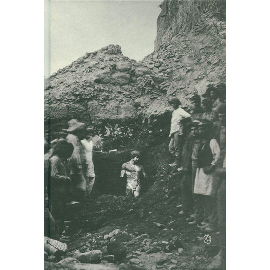 Antinous: the face of the Antique