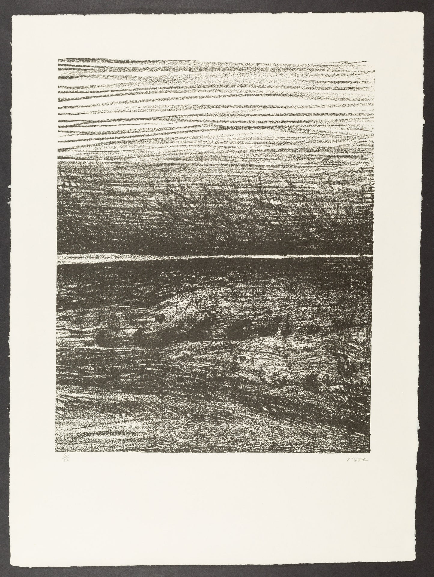 Windswept Landscape