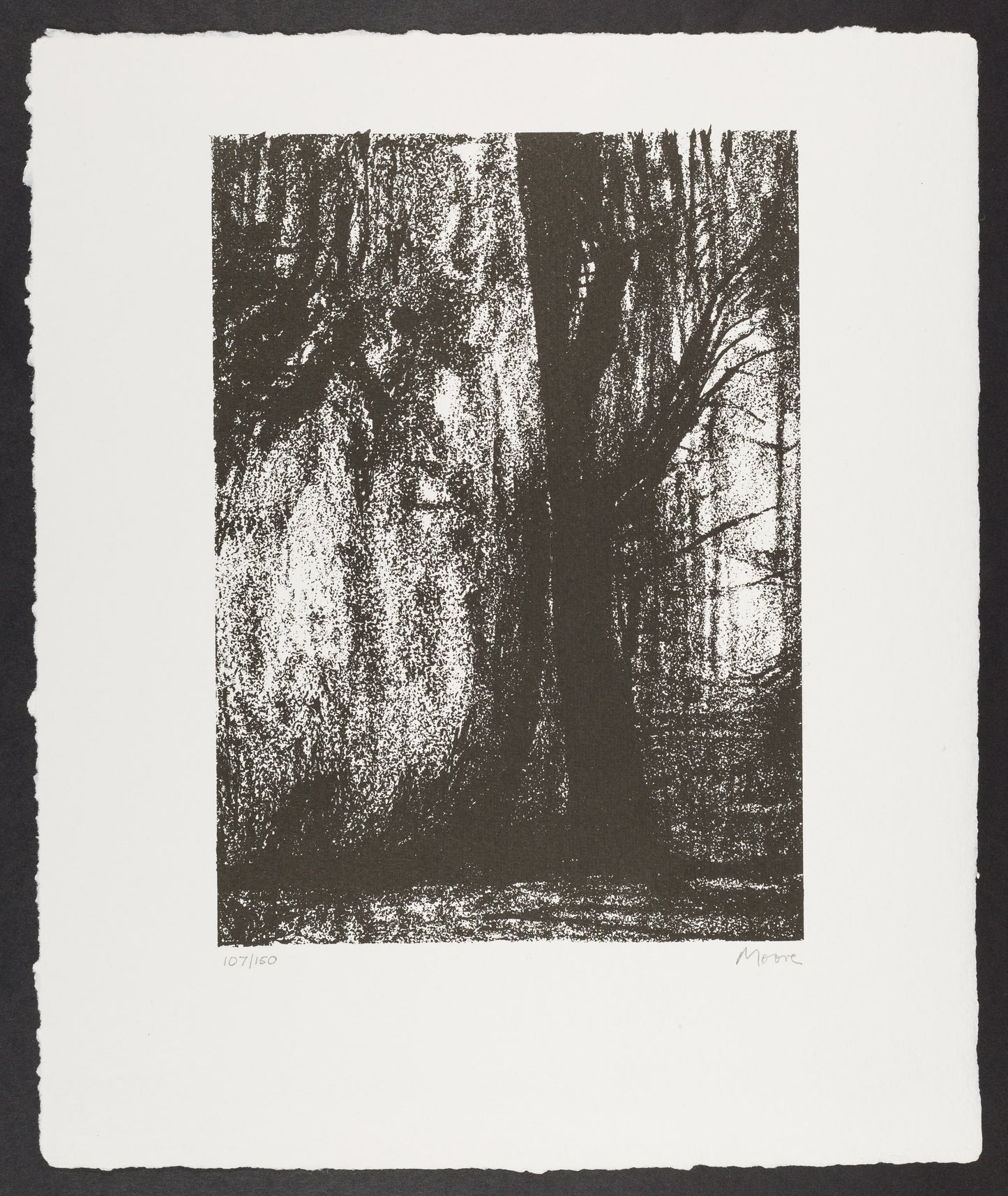 The Forest
