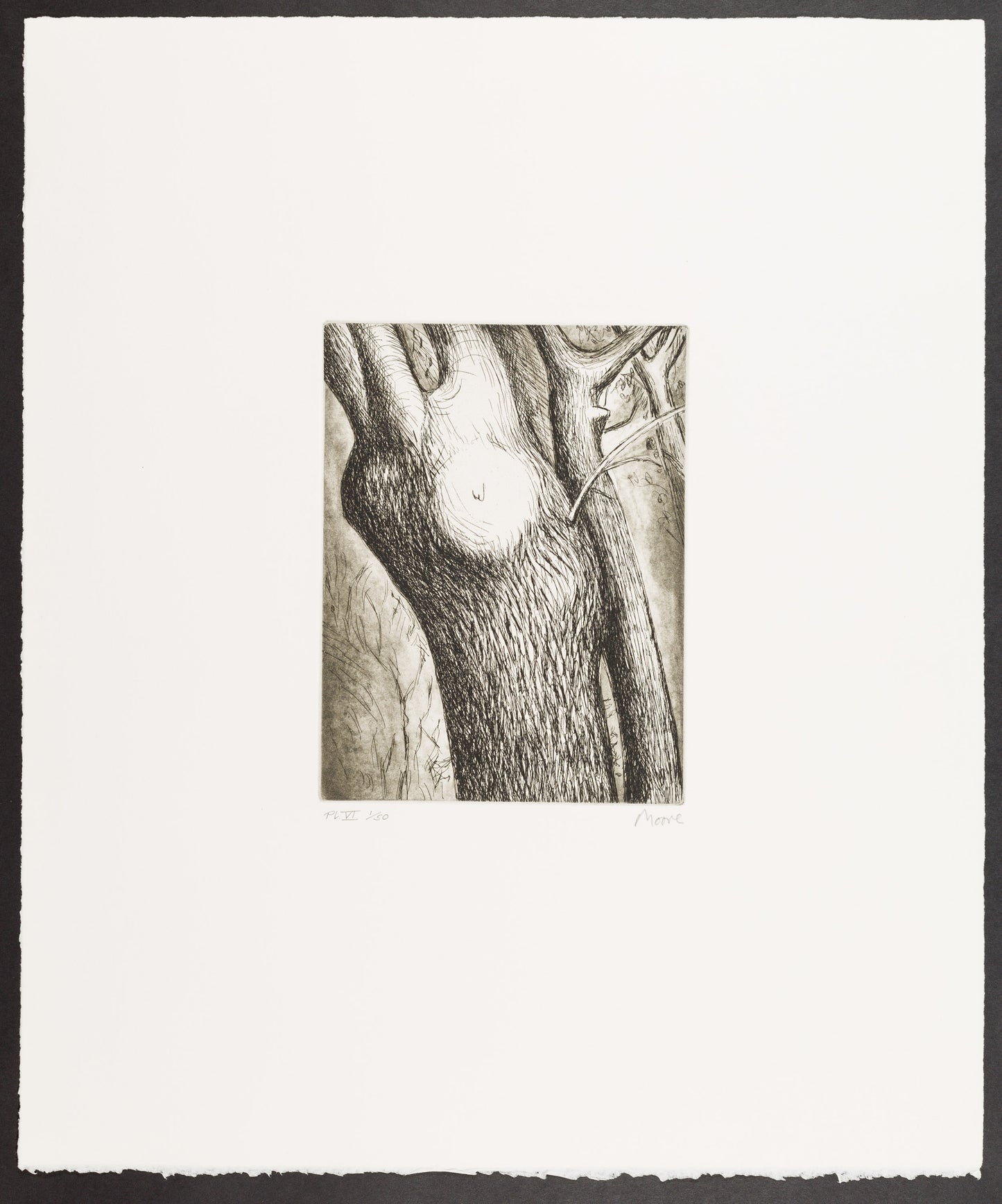 Trees VI: Dead Ash