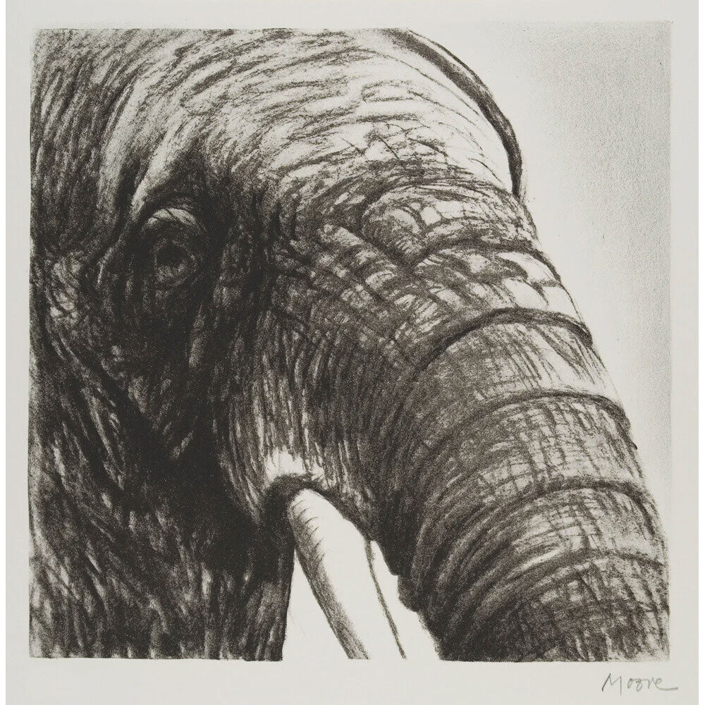 Elephant's Head II