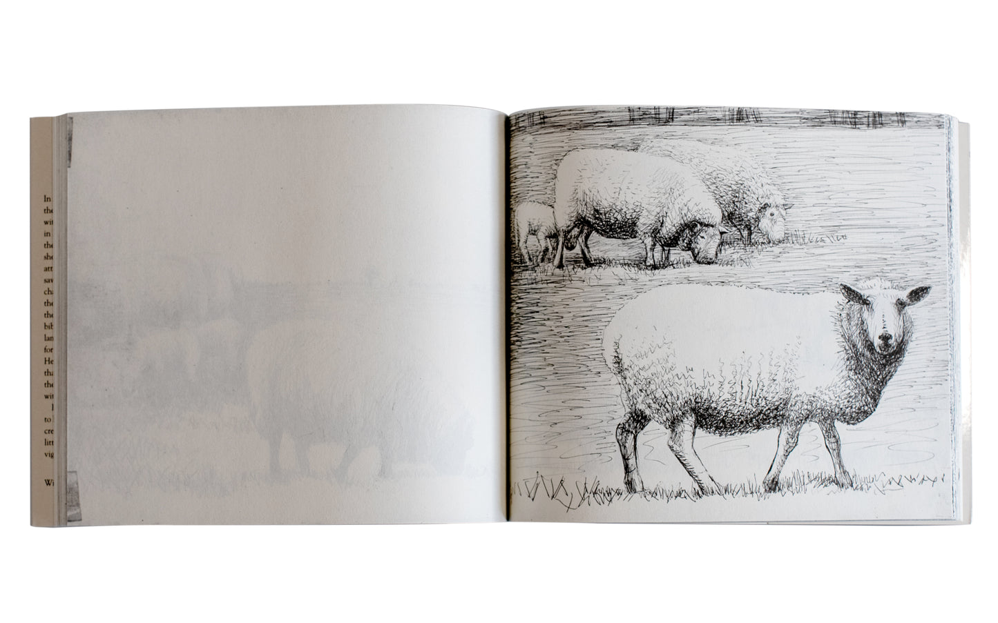 Henry Moore's Sheep Sketchbook