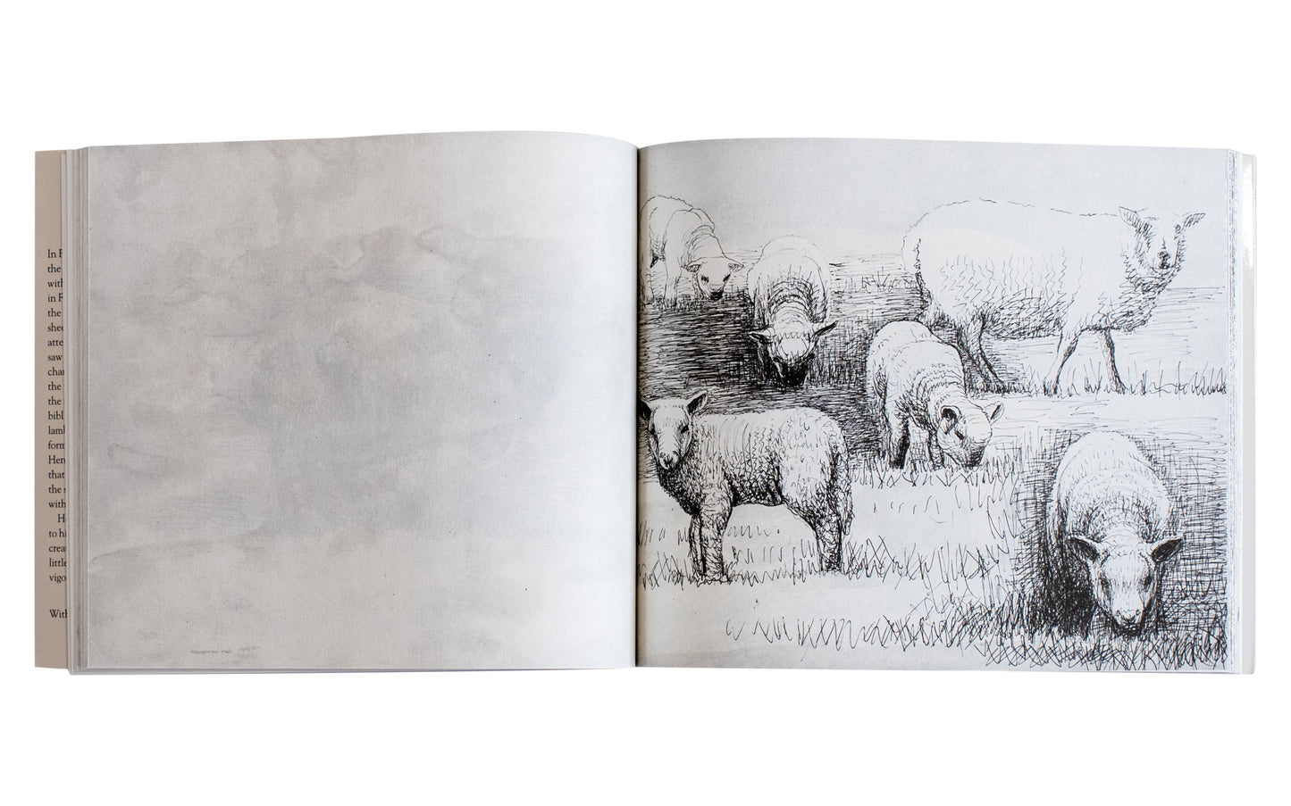 Henry Moore's Sheep Sketchbook