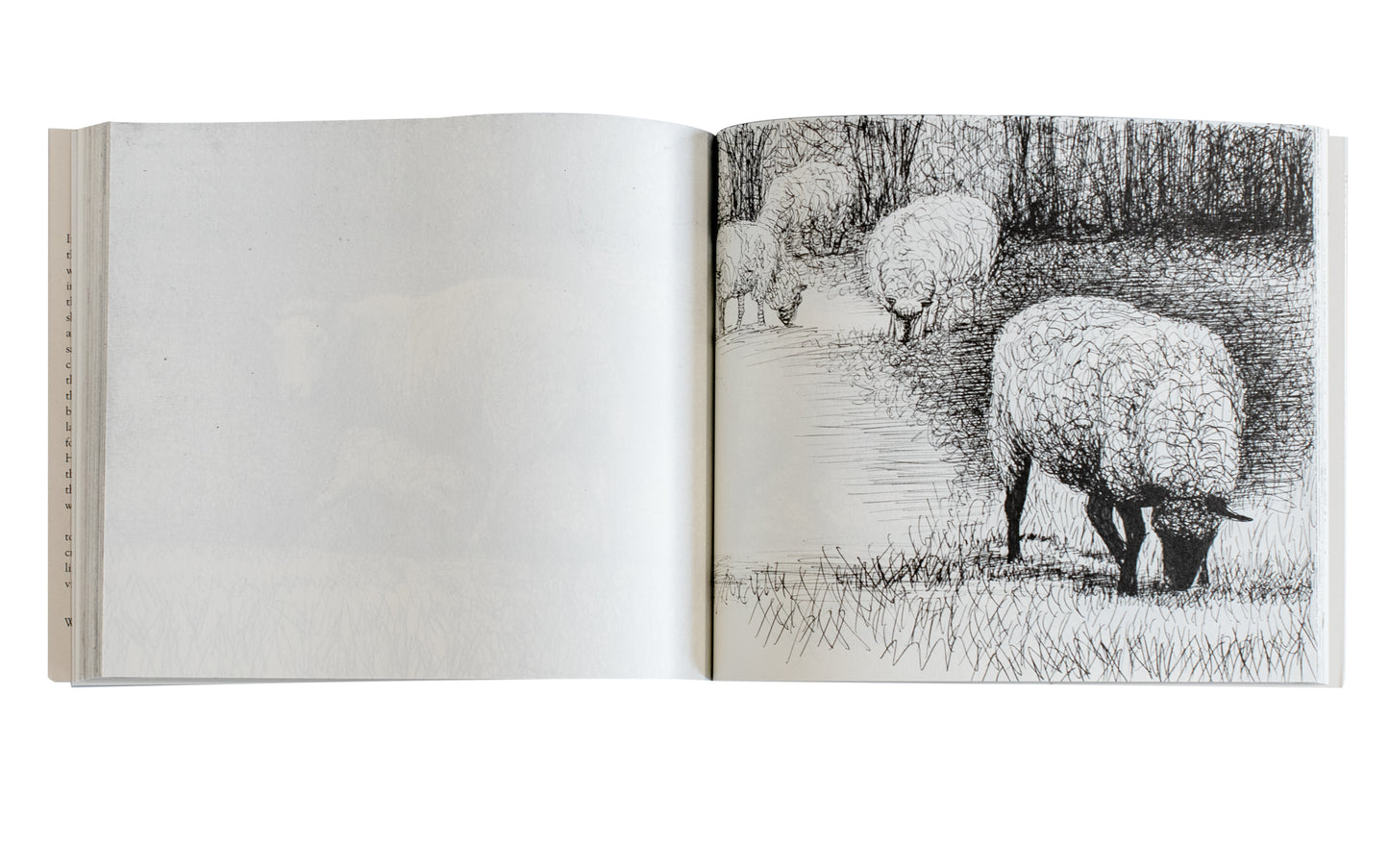 Henry Moore's Sheep Sketchbook