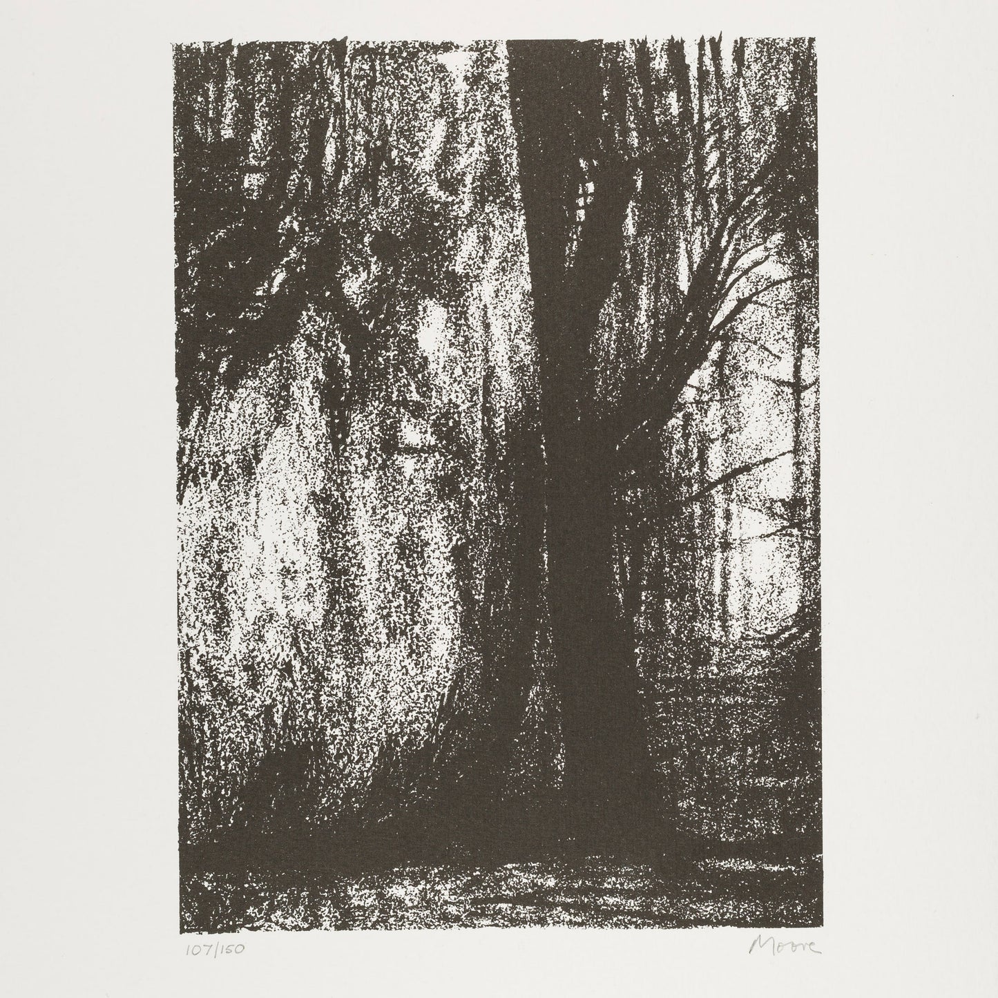 The Forest