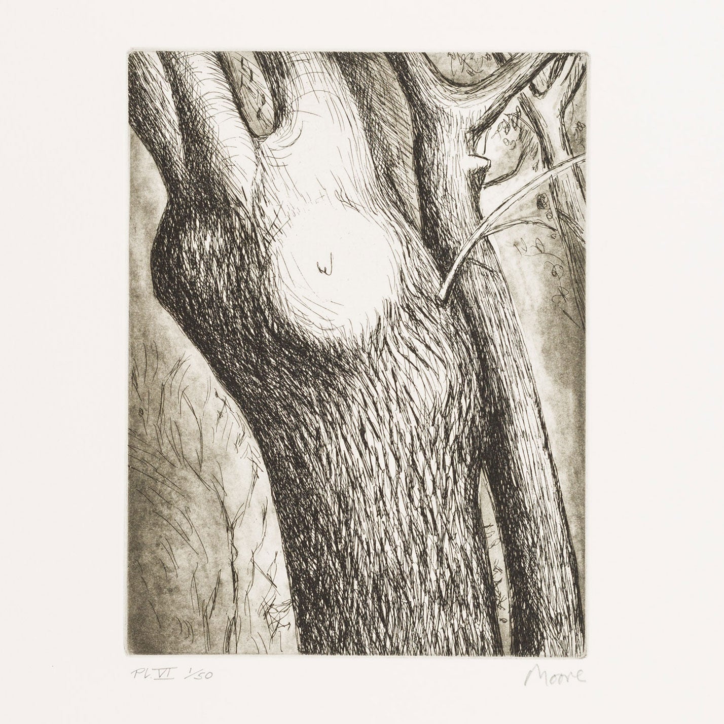 Trees VI: Dead Ash