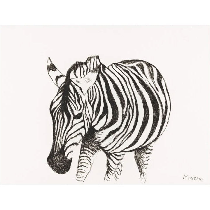 Zebra