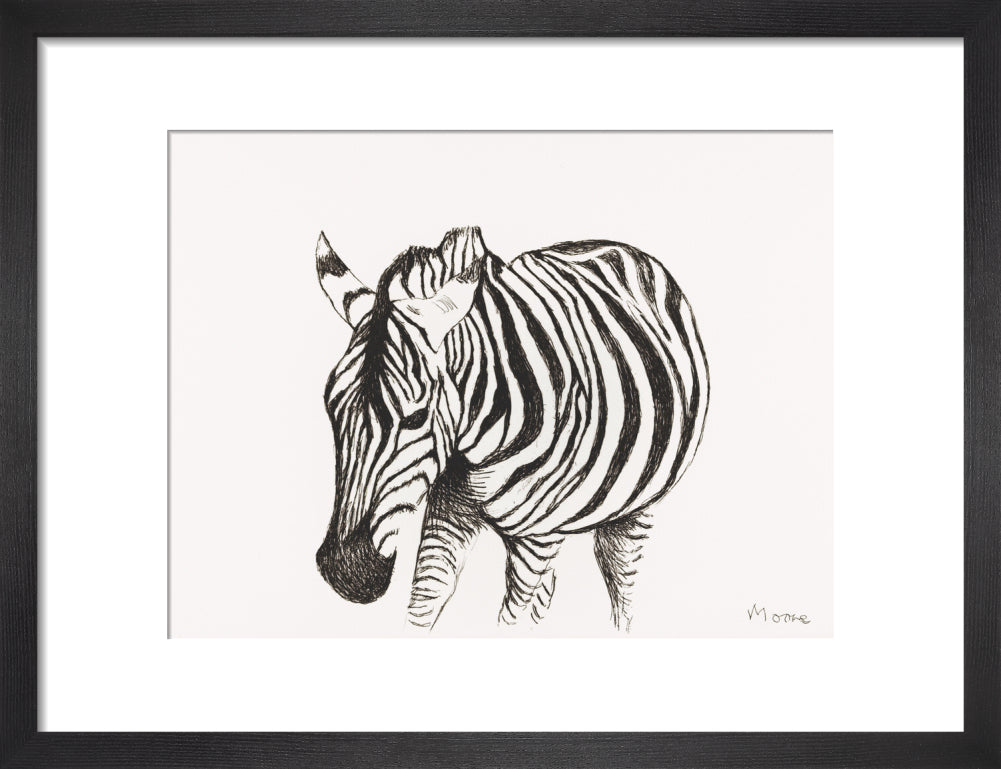 Zebra