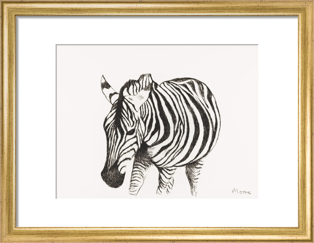 Zebra