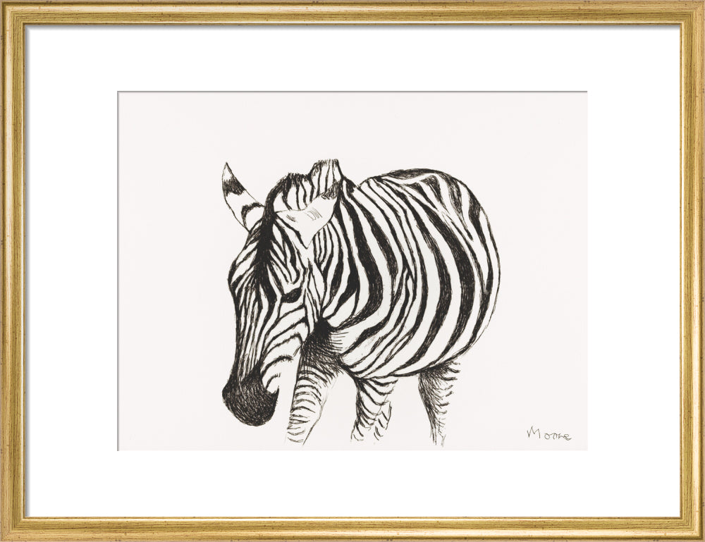 Zebra
