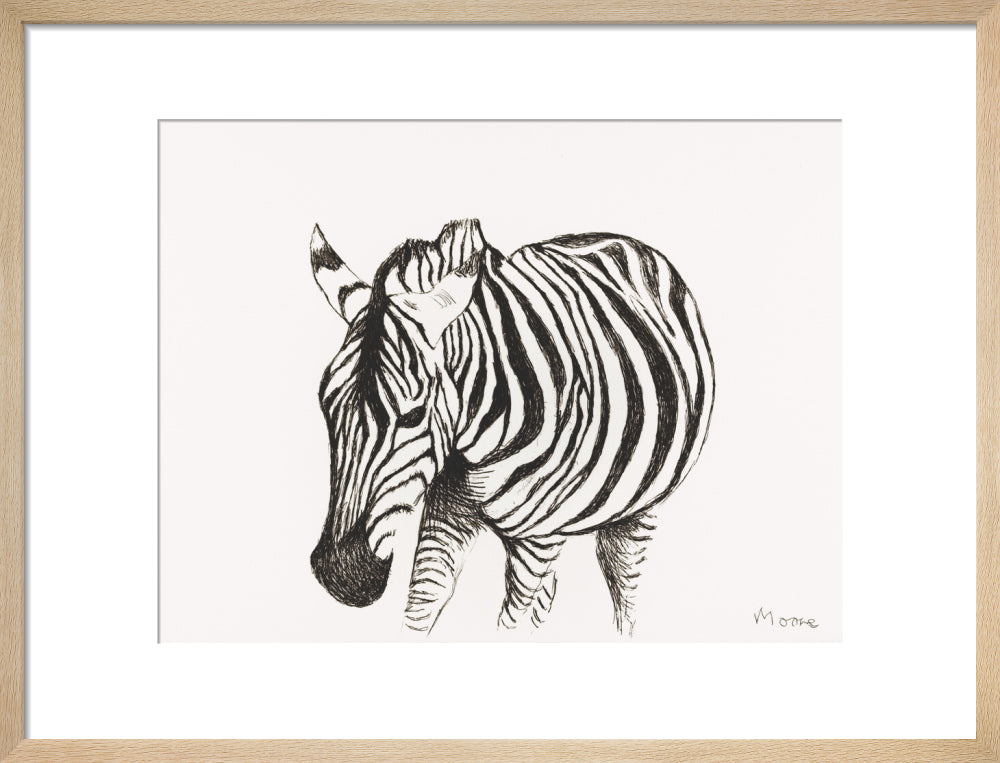 Zebra