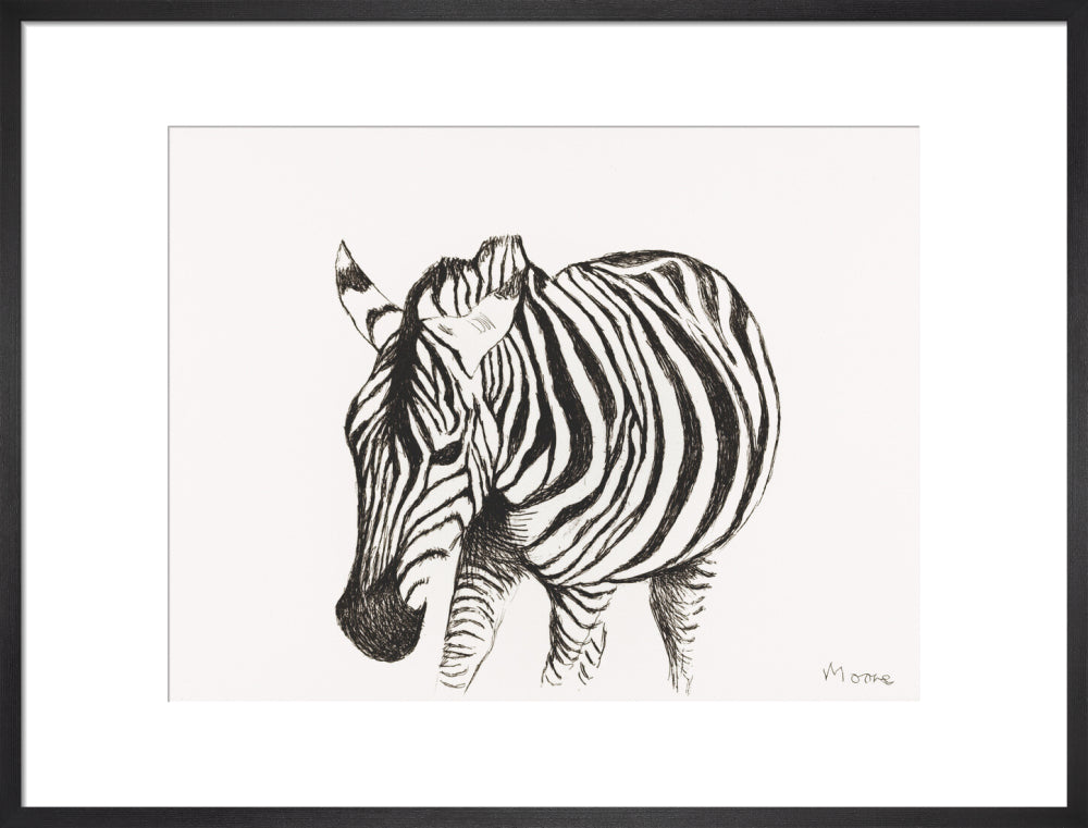 Zebra