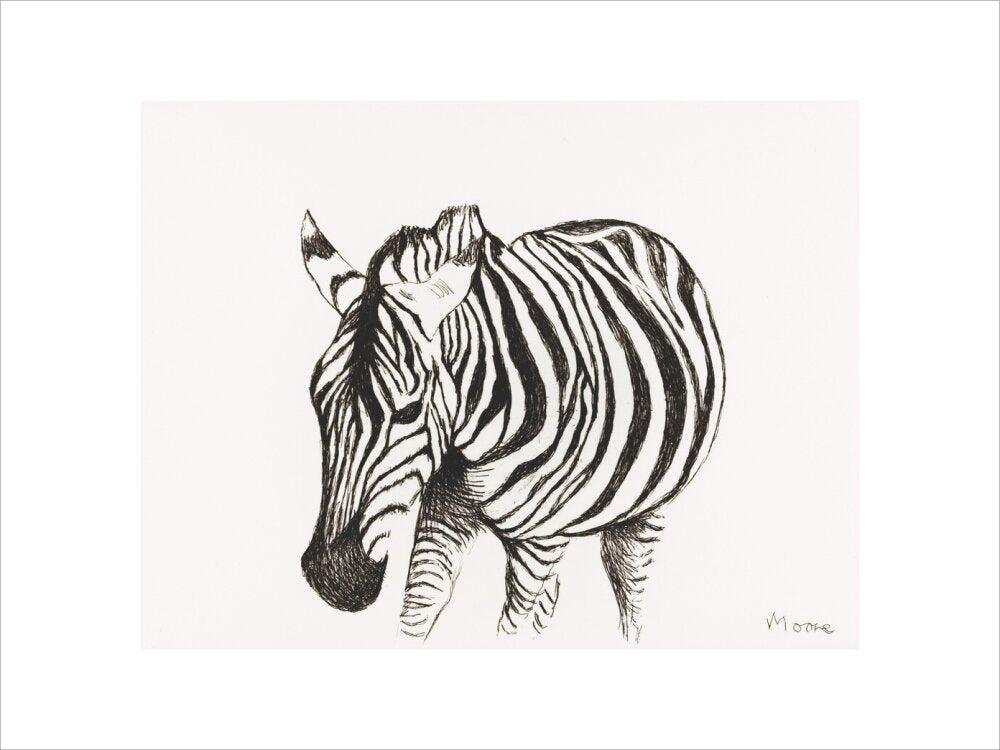 Zebra