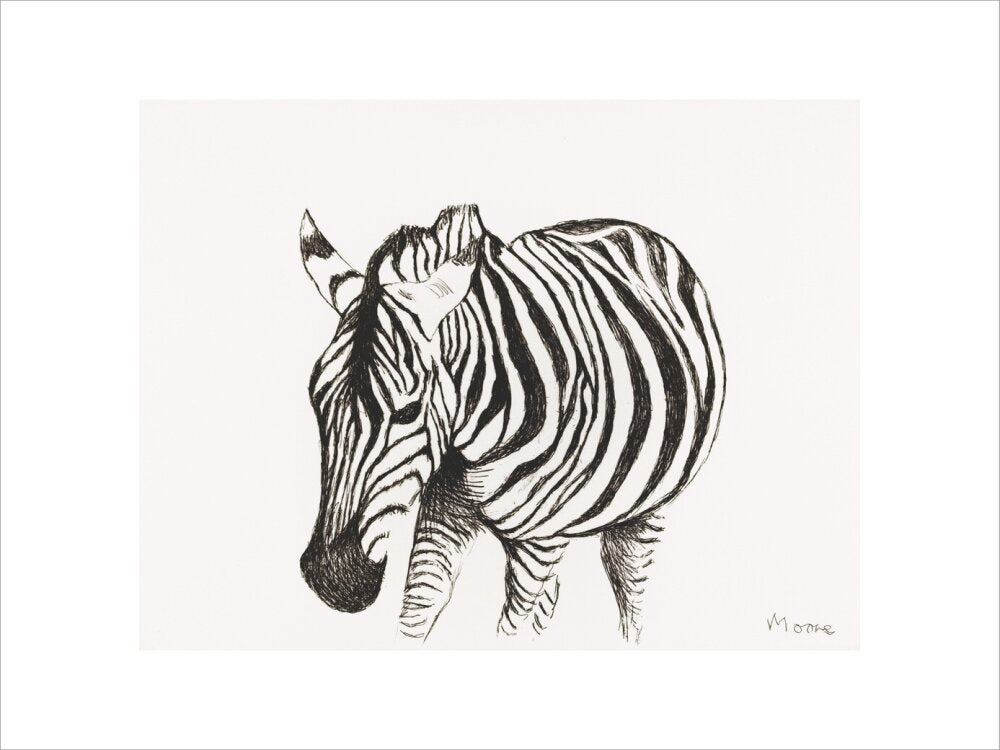 Zebra