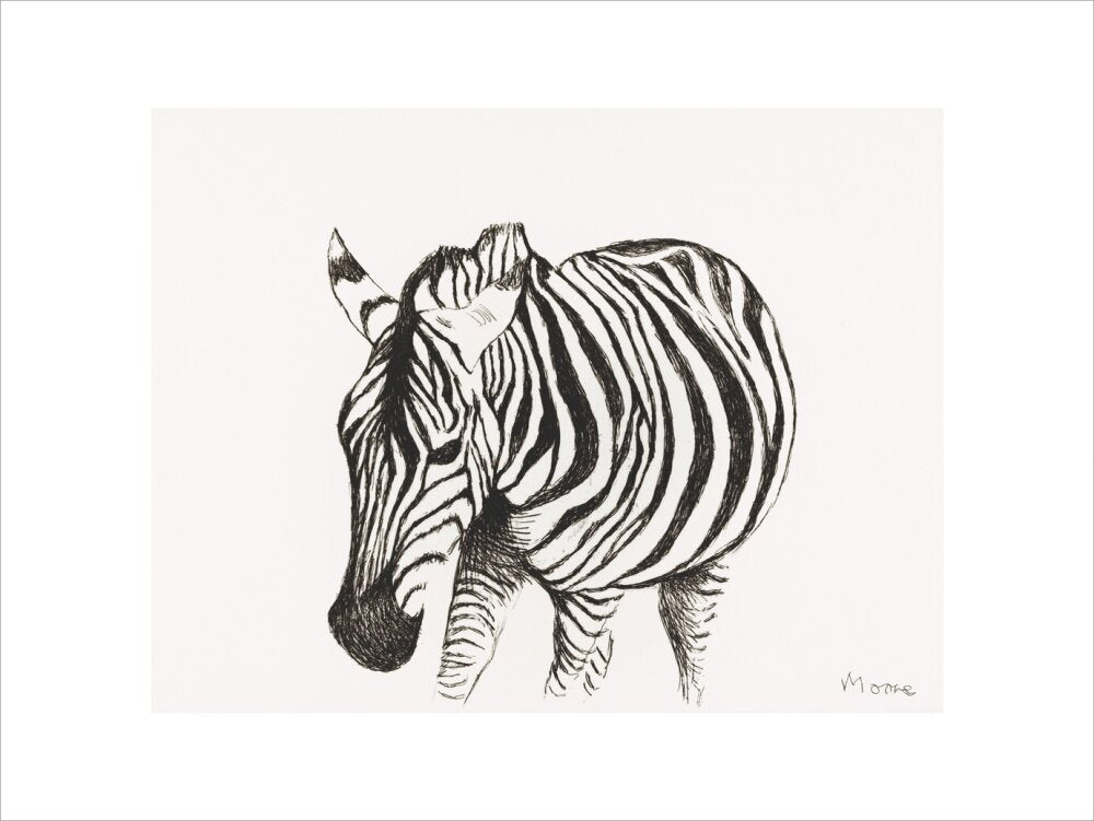 Zebra