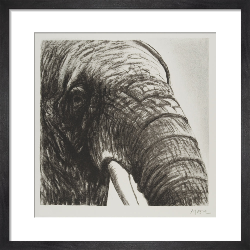 Elephant's Head II