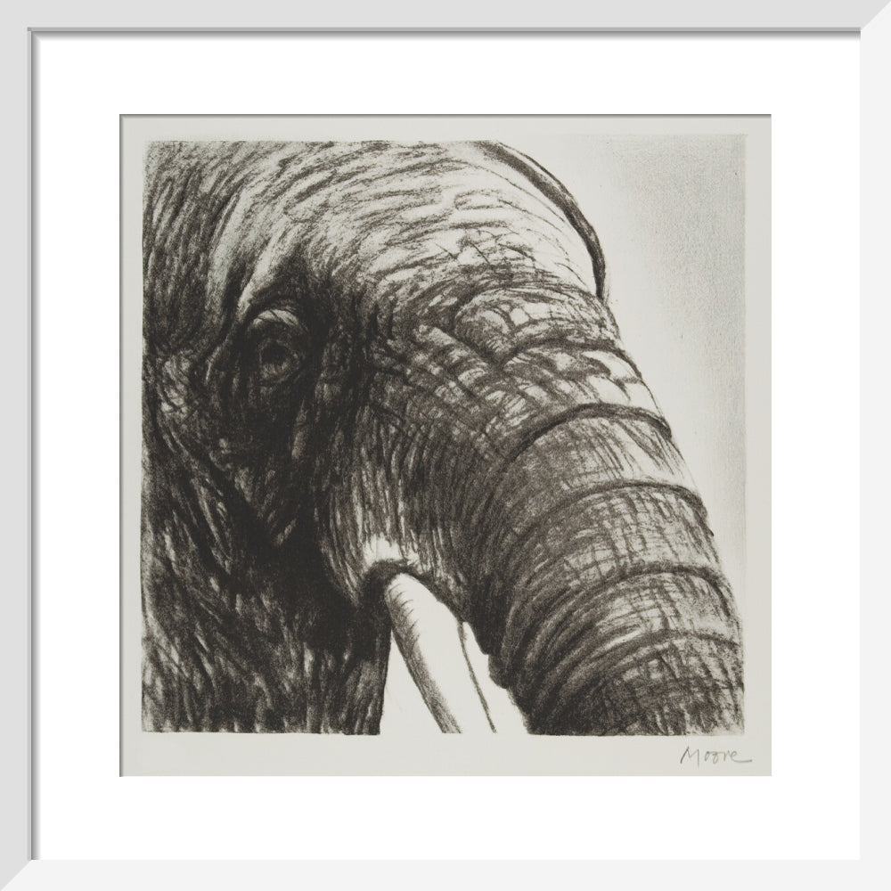 Elephant's Head II