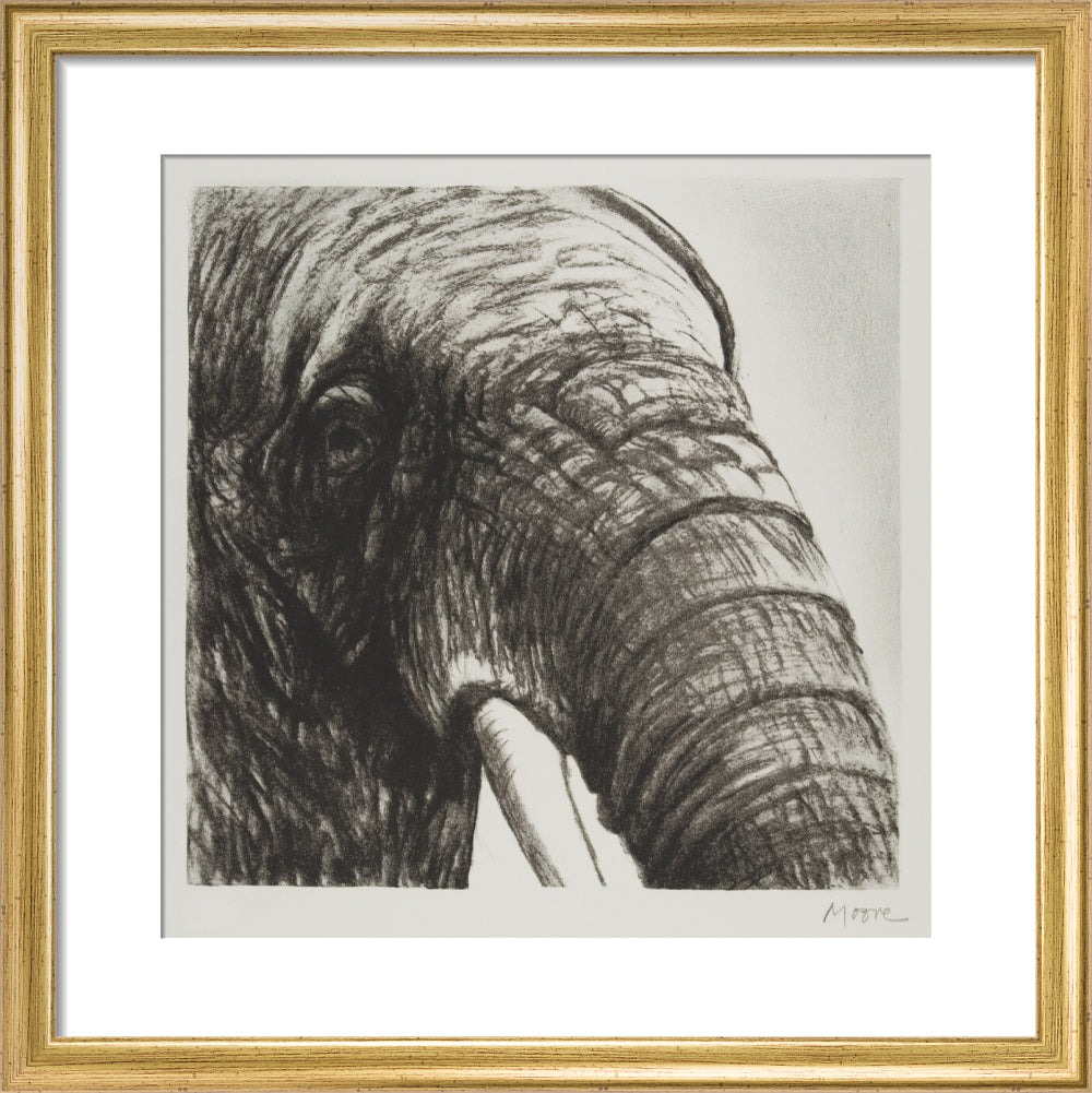 Elephant's Head II
