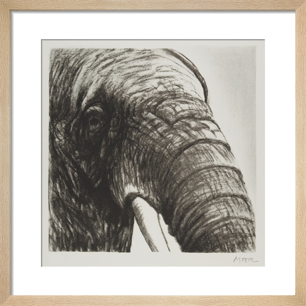 Elephant's Head II