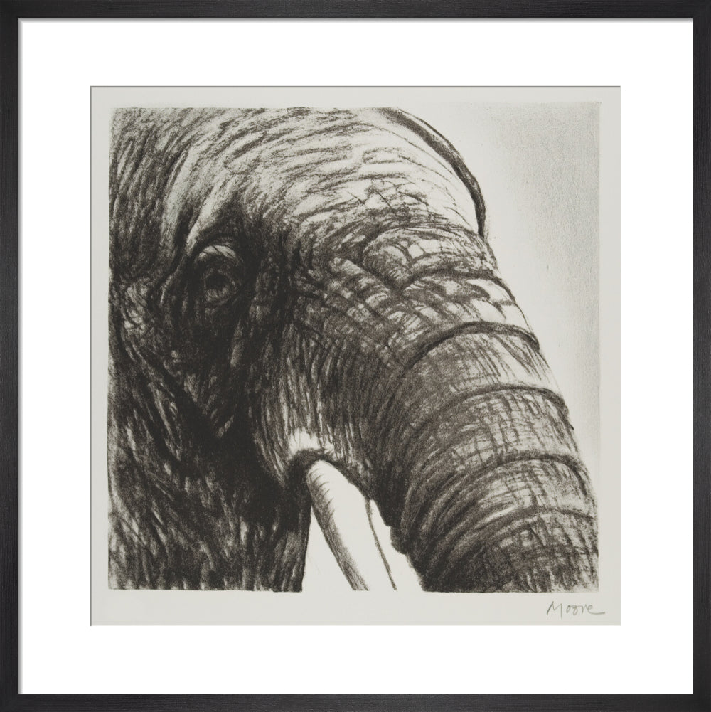 Elephant's Head II