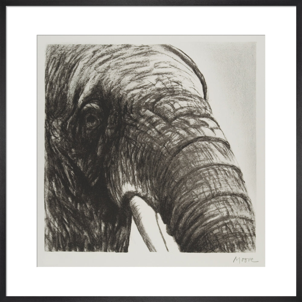 Elephant's Head II