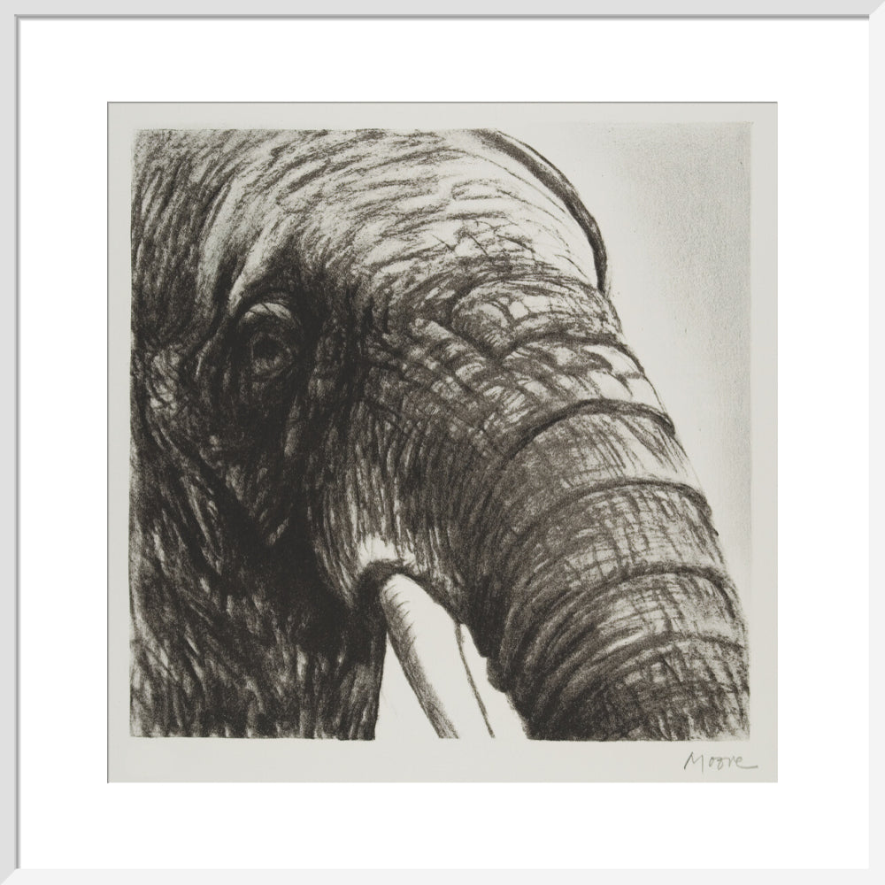 Elephant's Head II