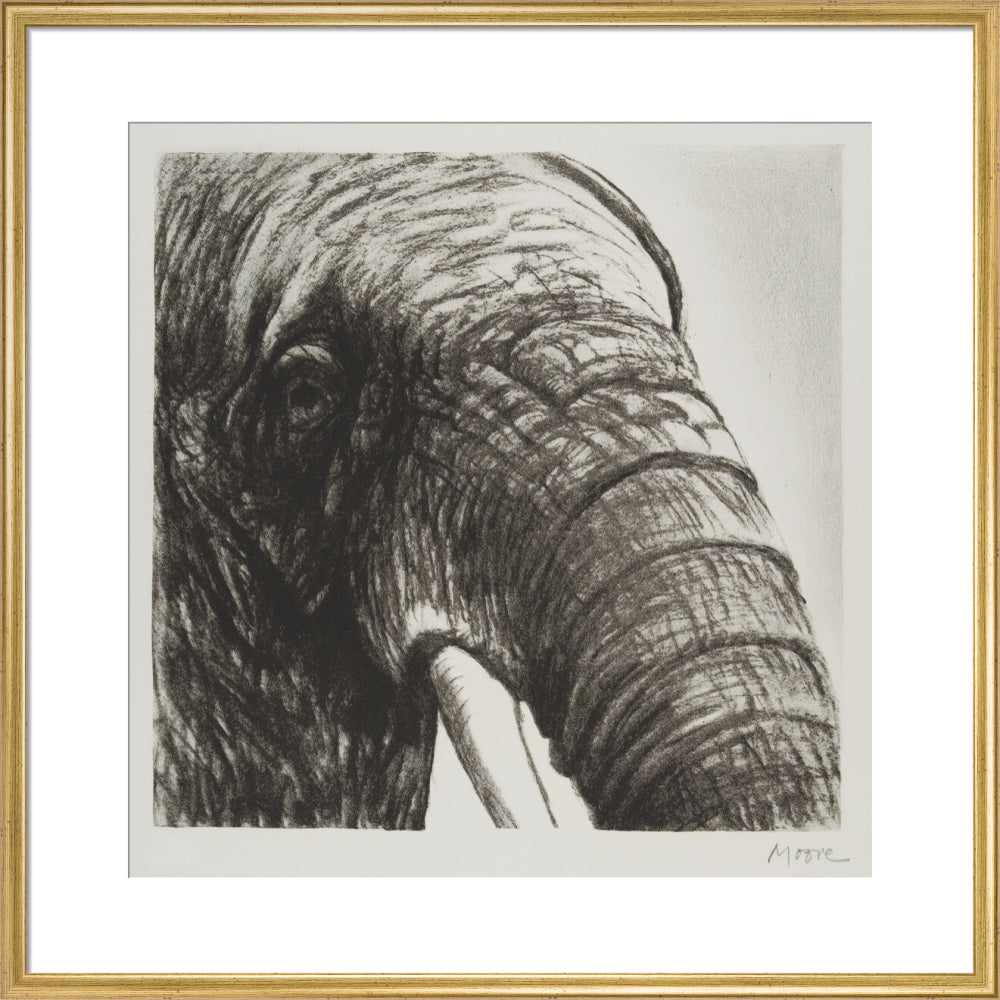Elephant's Head II