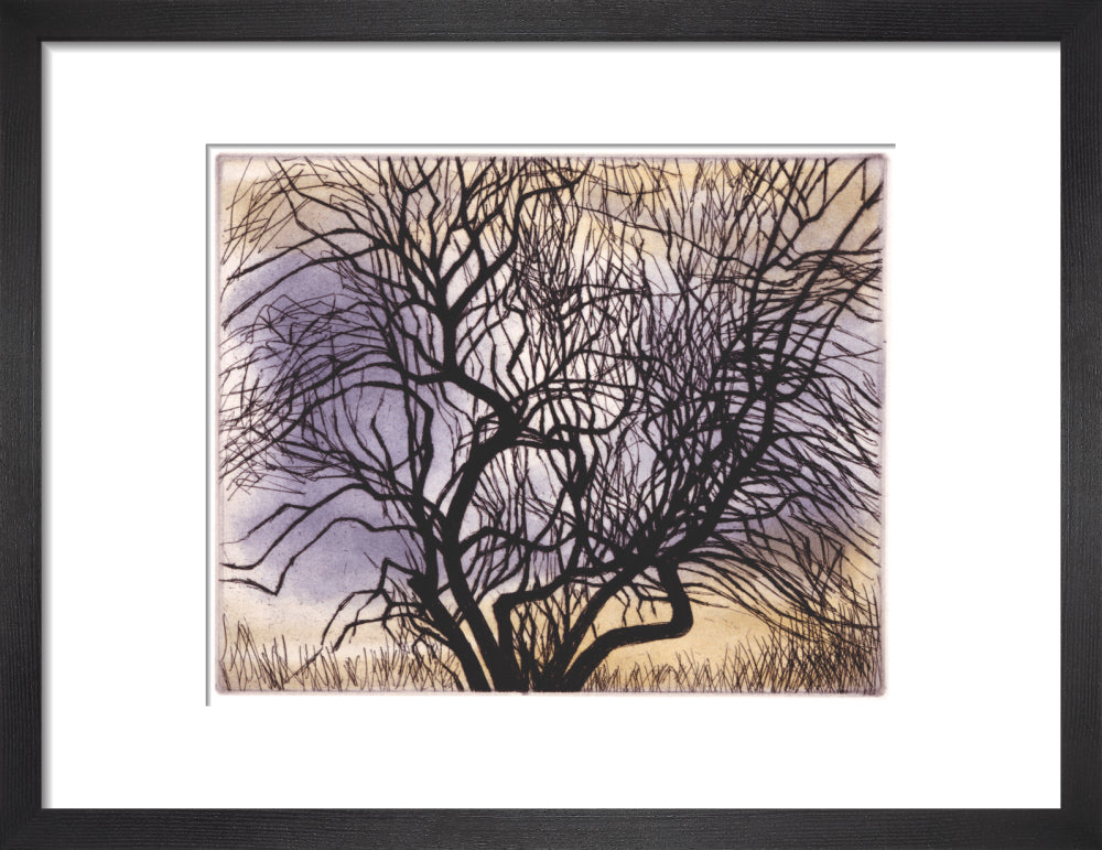 Trees V: Spreading Branches