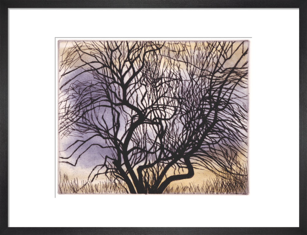 Trees V: Spreading Branches