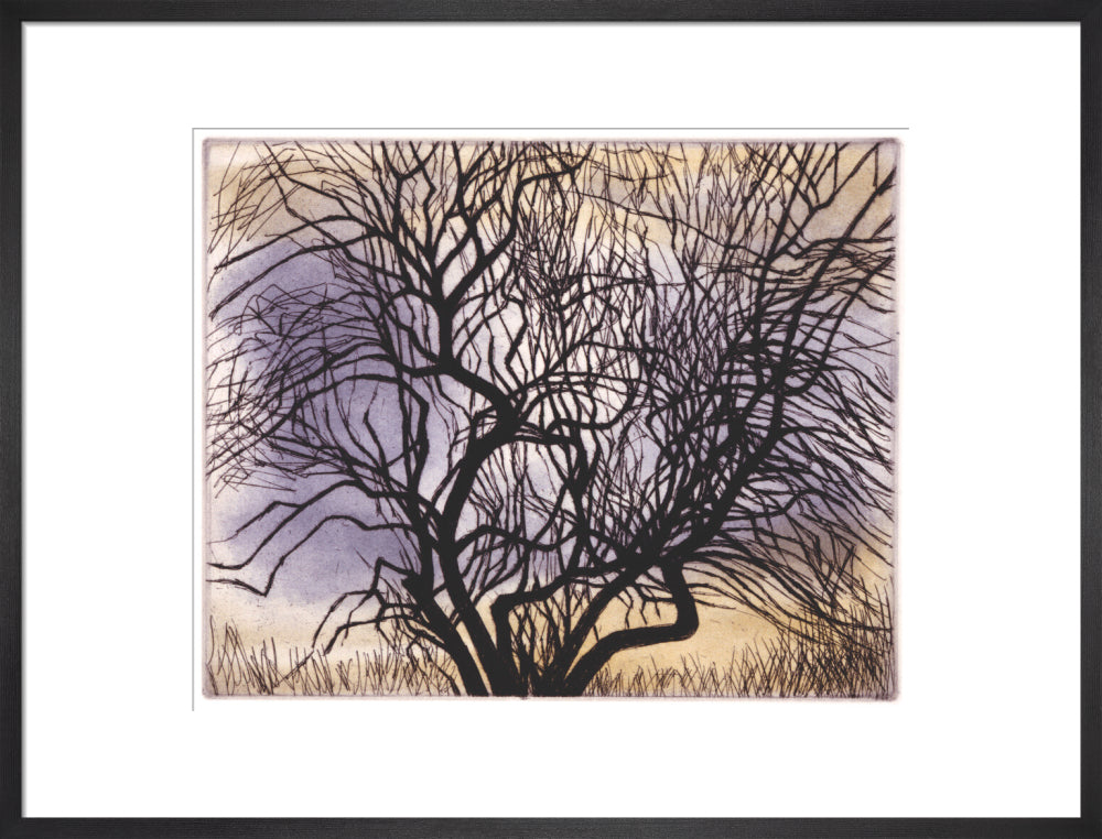 Trees V: Spreading Branches