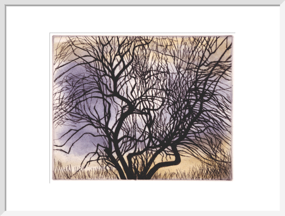 Trees V: Spreading Branches