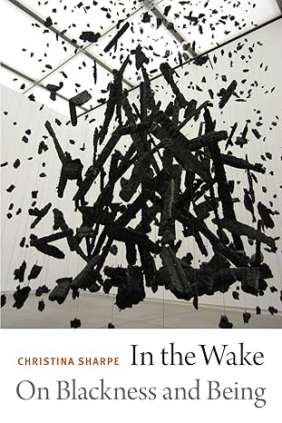 In the Wake: Blackness and Being
