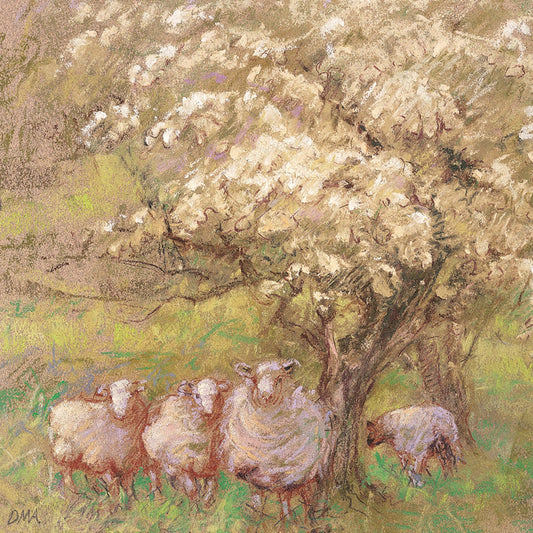 Springtime over the Berwyns ART PRESS GREETING CARD