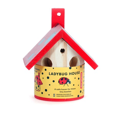 Ladybug House