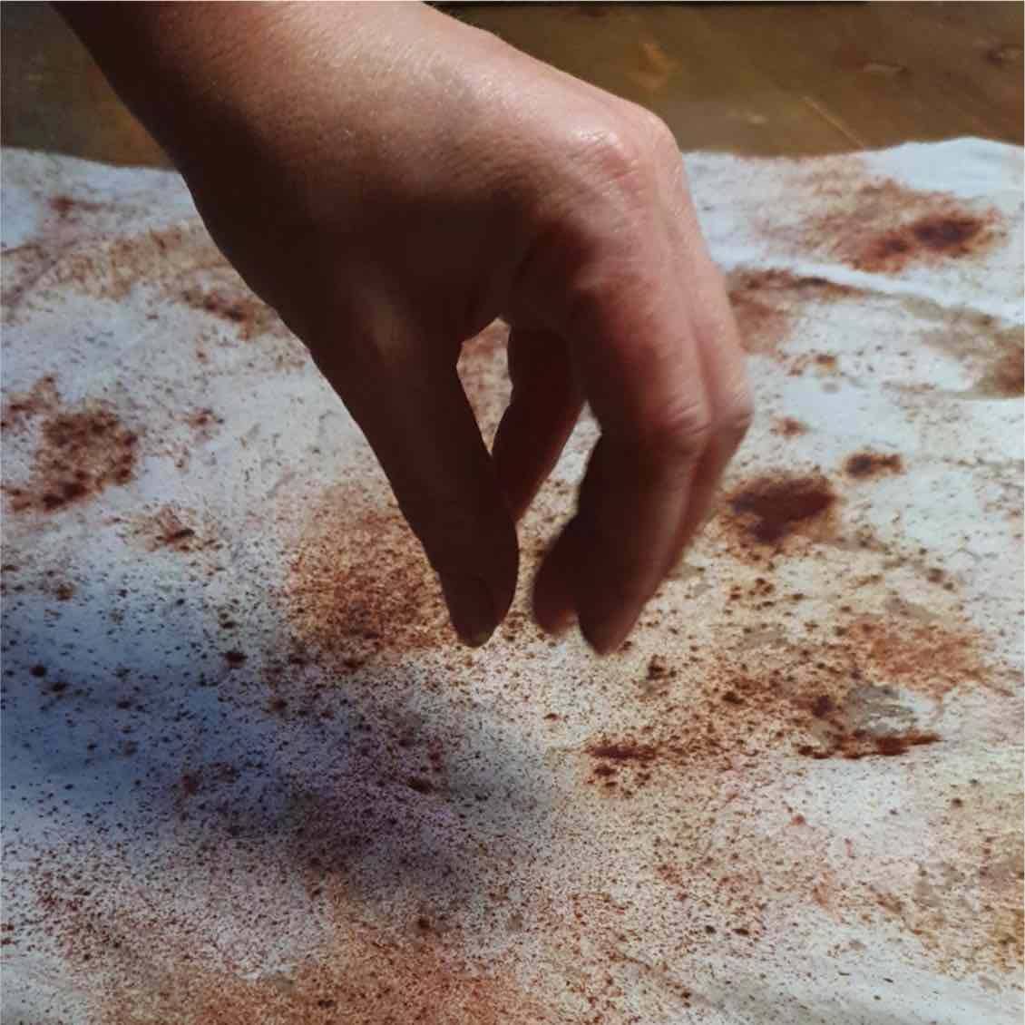 DIY Natural Dye Kit