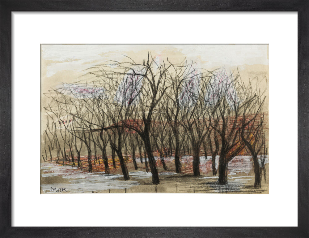 Apple Orchard at Dane Tree House (art print, small, black)