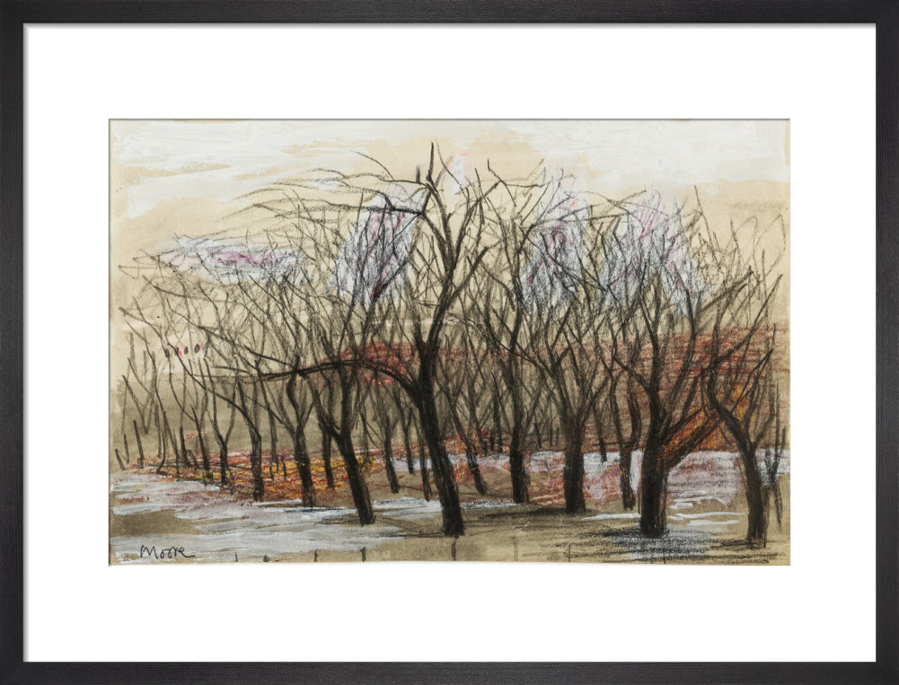 Apple Orchard at Dane Tree House (art print, medium, black)