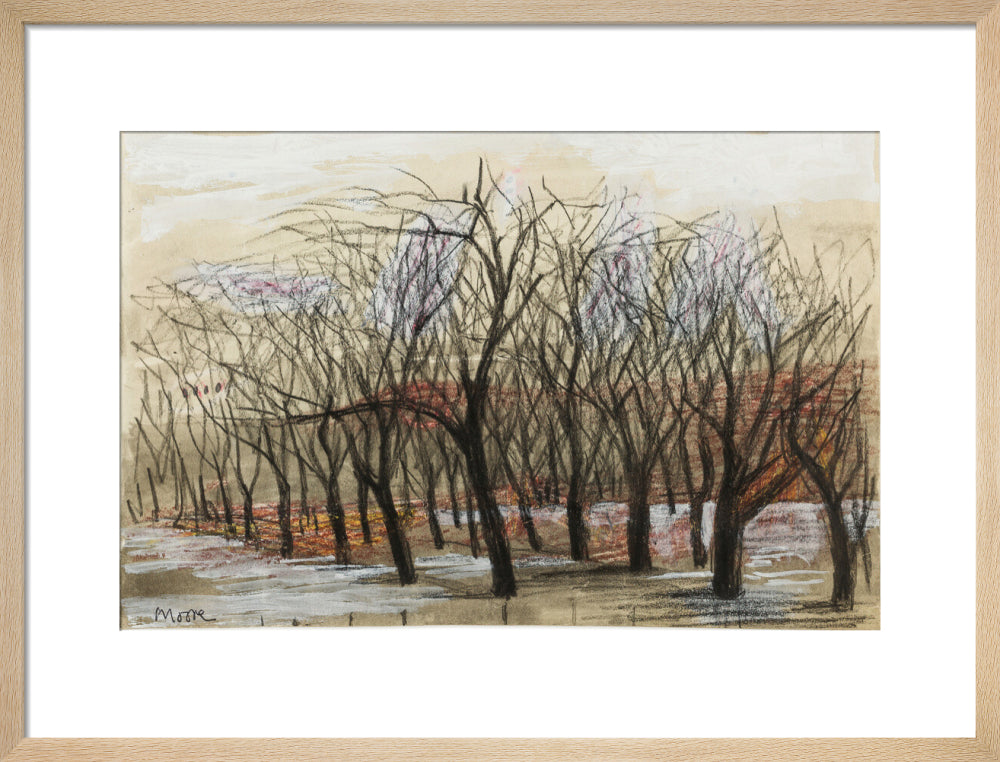 Apple Orchard at Dane Tree House (art print, medium, natural)