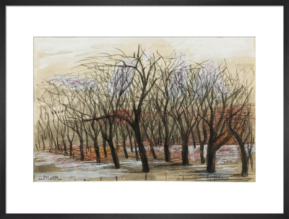 Apple Orchard at Dane Tree House (art print, large, black)