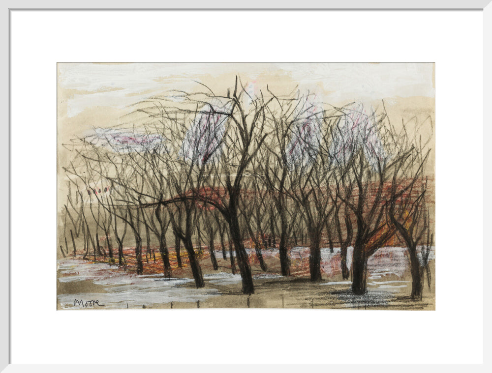 Apple Orchard at Dane Tree House (art print, large, white)