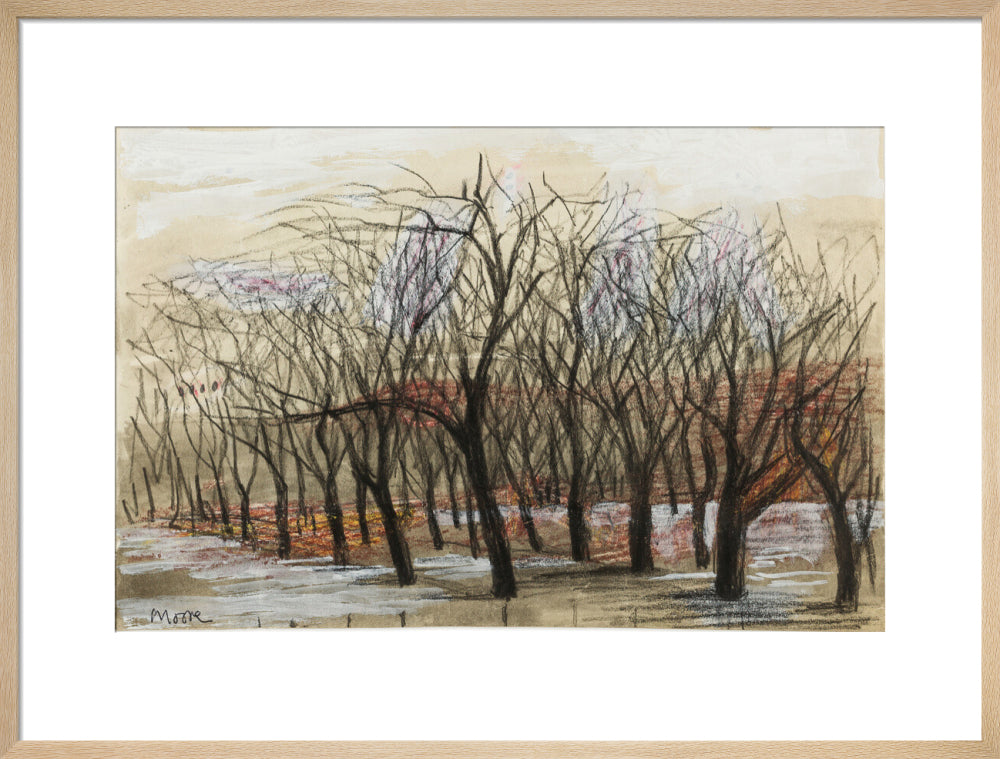 Apple Orchard at Dane Tree House (art print, large, natural)