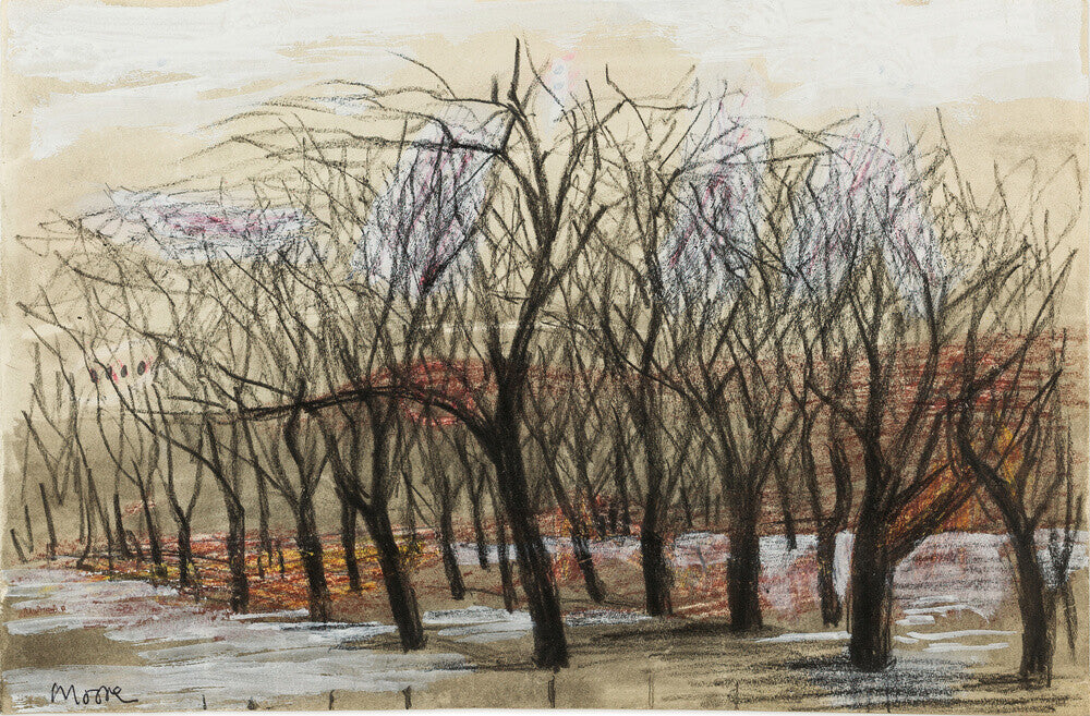 Apple Orchard at Dane Tree House