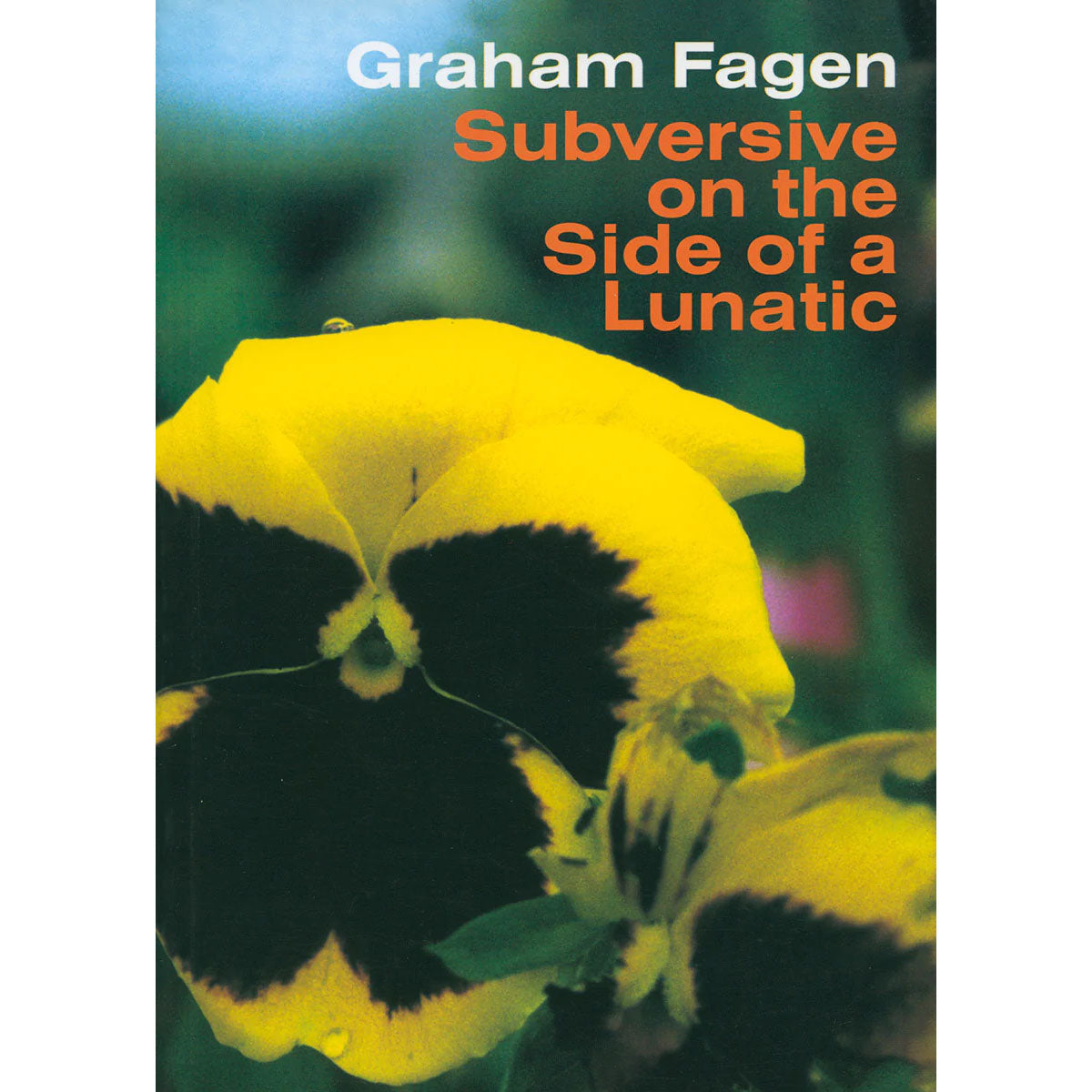 Graham Fagen: Subversive on the Side of a Lunatic