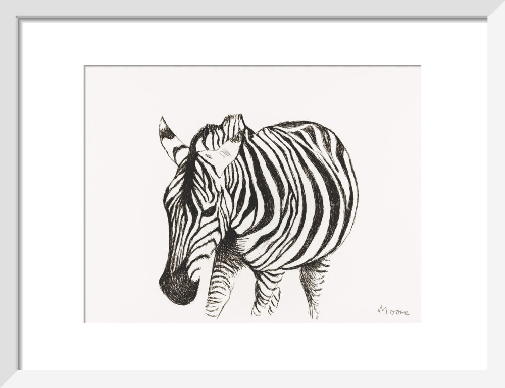 Zebra