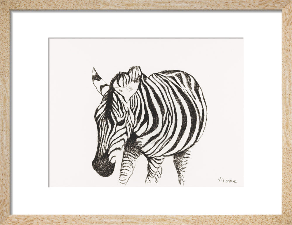 Zebra