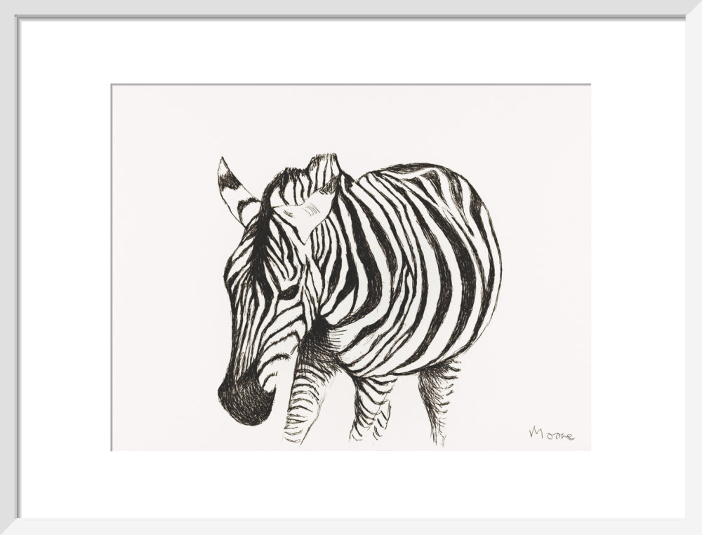 Zebra